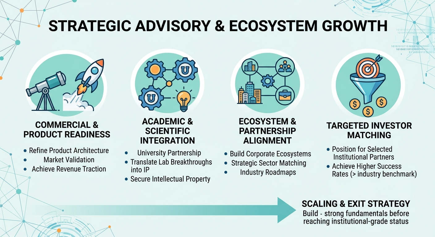 Strategic Advisory Beyond Traditional Venture Capital for Scale-Ups and Research Spin-Outs Canada